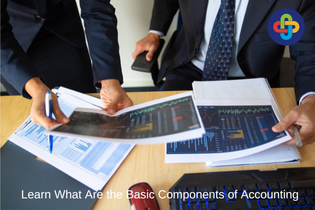  Learn What Are the Basic Components of Accounting